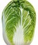 CHINESE CABBAGE KBZ LATE 3906