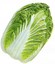 CHINESE CABBAGE KBZ EARLY 3905